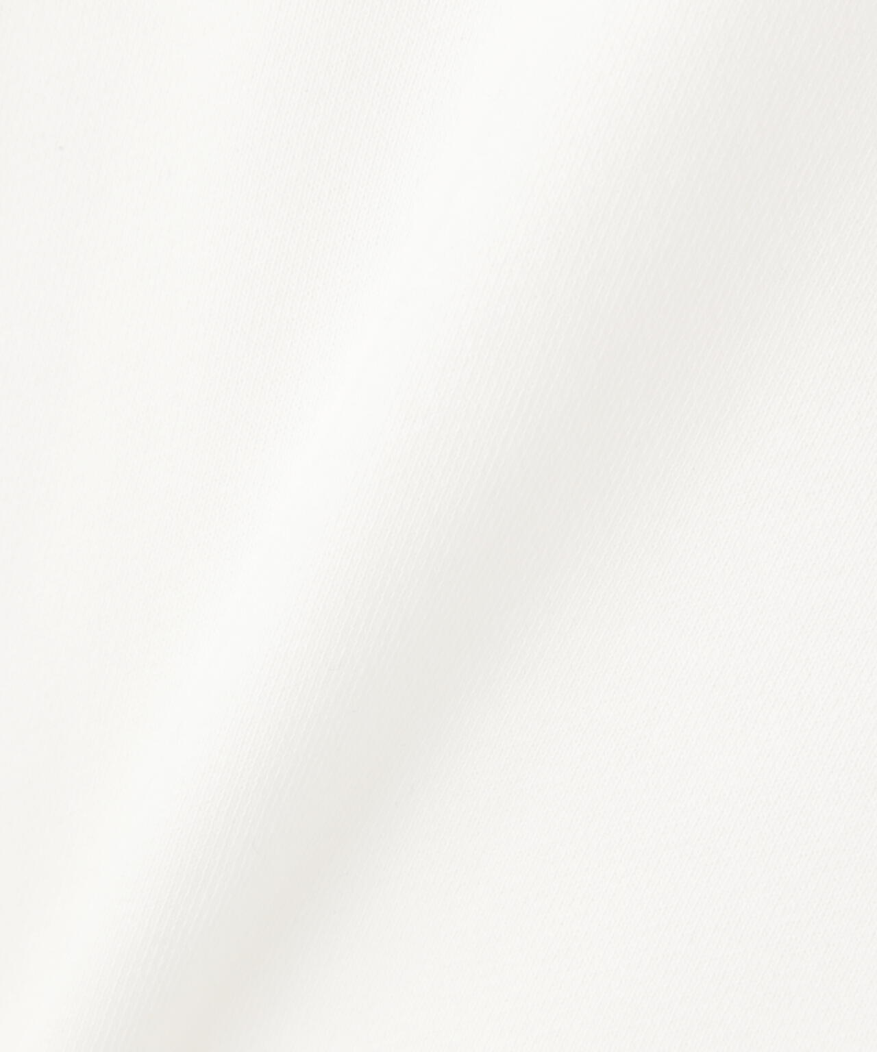 《DAILY/デイリー》CREW NECK L/S SWEAT LOGO / クルーネック ロングスリーブ スウェット / AVIREX /