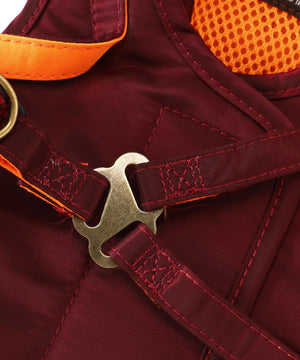 f04e262c-10c4-5b9e-9535-6ee25e4b2b60_Image