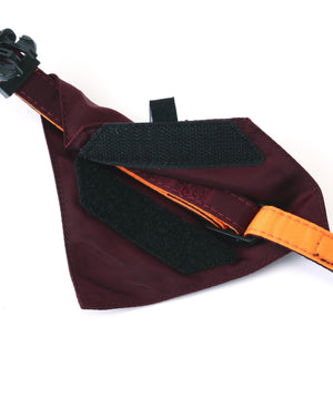 bd982cac-e918-57a4-812d-2939b5fc3c1e_Image