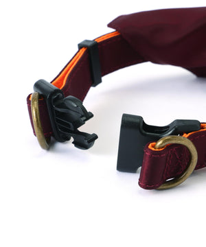 a2007c85-1d20-5d2f-903e-76685598e32e_Image