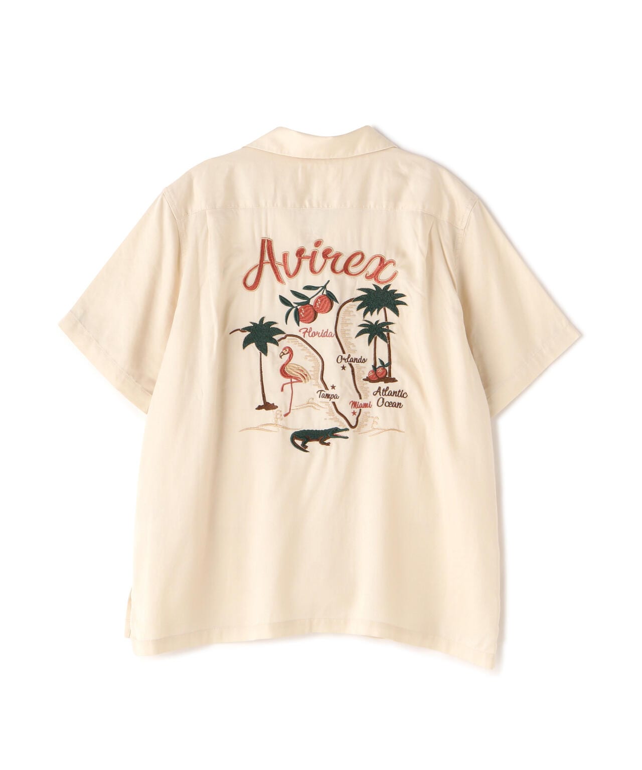 c4a200a6-0191-5e6a-a8a6-0998dc911366_Image