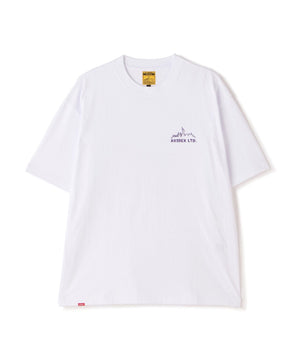 d68c0862-7aa1-50b0-85ab-0c30ca4b2796_Image