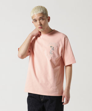 0dd02737-9e61-5ee9-8985-88e95f84d83e_Image