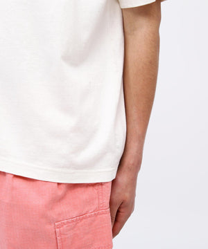 14d34258-fbbe-54ca-9865-93d26b5c3163_Image