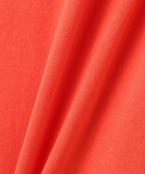 ab77159b-ae5c-56da-980d-385541e9708f_Image