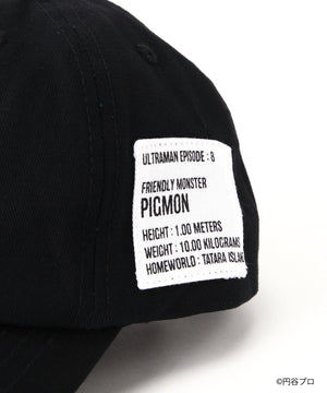 036a8f21-cc4c-5e43-8fef-9ad46578af6a_Image