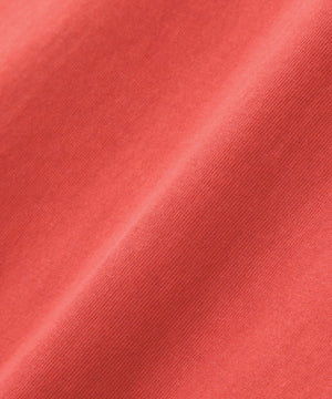 3c44cccd-2bab-56a4-8663-8c3b78050cce_Image