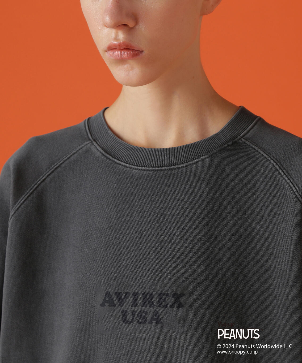 878ba1f6-57e3-5493-81f5-e669e0e8ecc3_Image