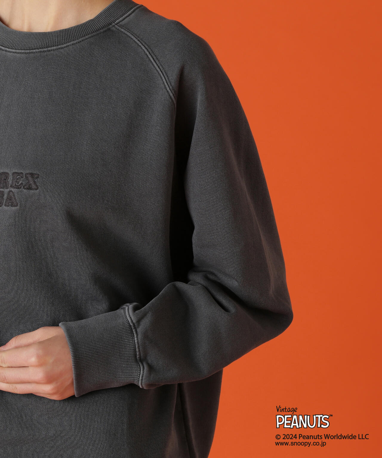 b6a2b3e2-b1b2-5fbd-b2bf-c8f9cb19a7fe_Image