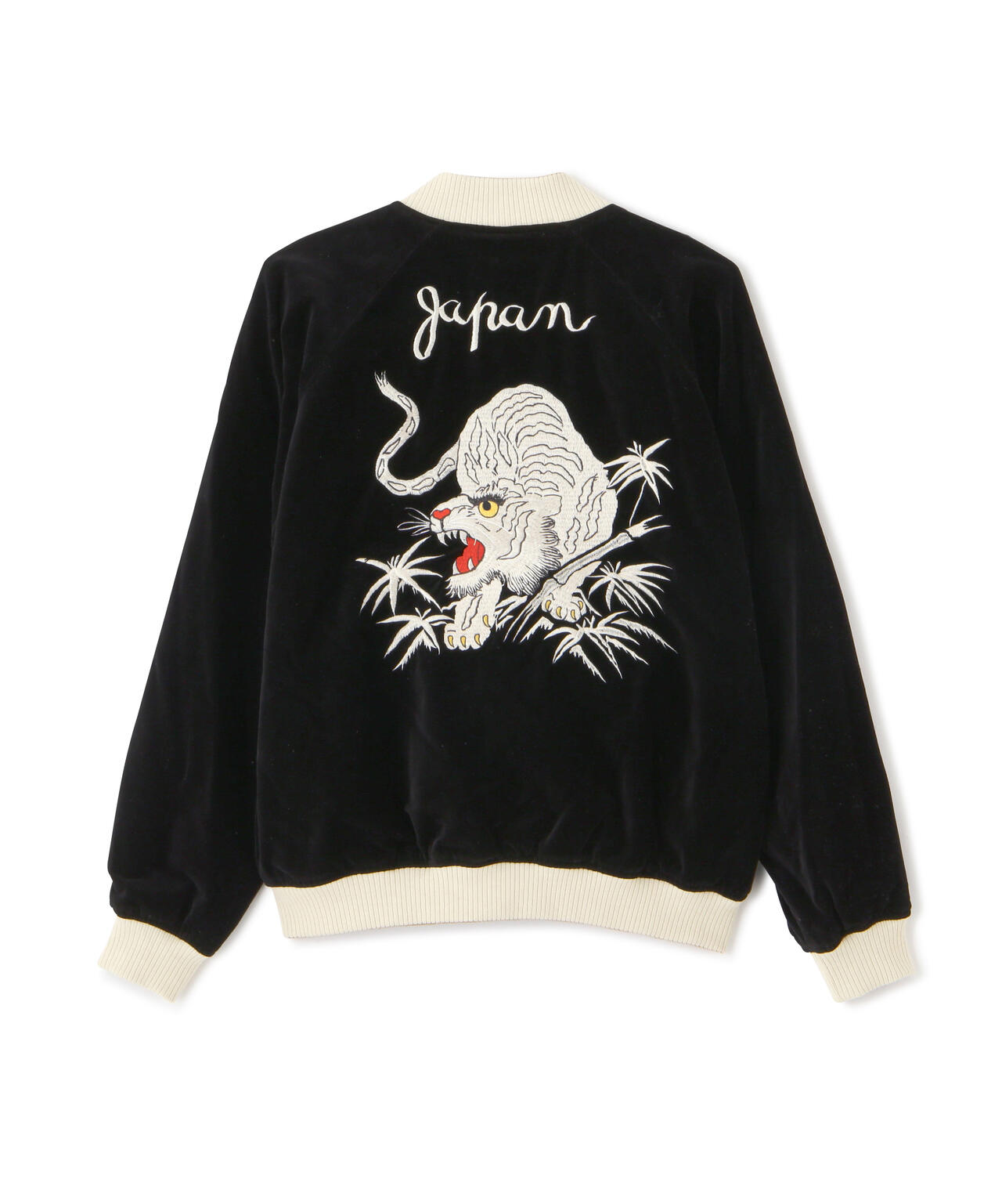 50b0456e-c8e2-59d4-baf6-0e59d4262091_Image