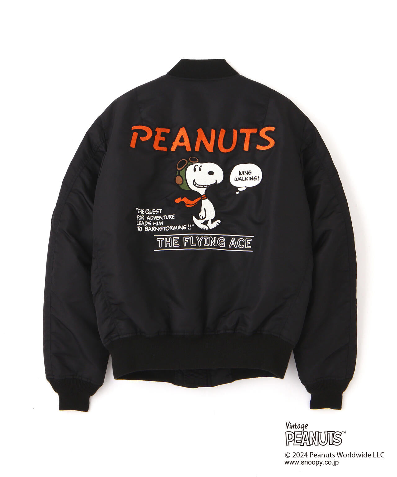 a8982cb2-d628-5feb-8063-bfecfd6bc153_Image