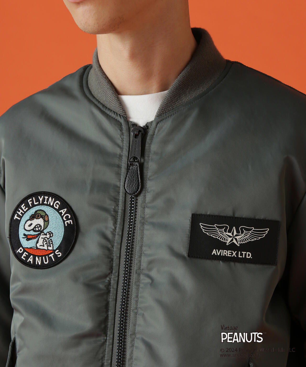 843ce4ff-f746-5ddb-b553-02881851a80e_Image