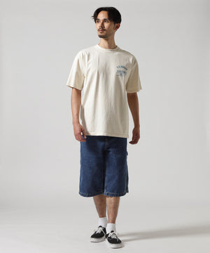 33ddd3aa-00b8-5558-a8fd-2d8aac19f067_Image