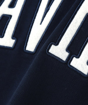 6fd95065-dbc7-57ae-8569-4590fac0b989_Image