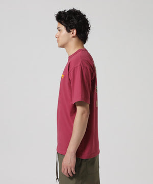 3be88d8b-442b-5c76-a921-519ebeb0771c_Image