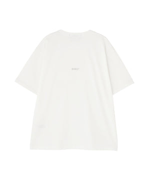 c7d15ad6-196d-51d0-97ca-40ed0c4ac5df_Image