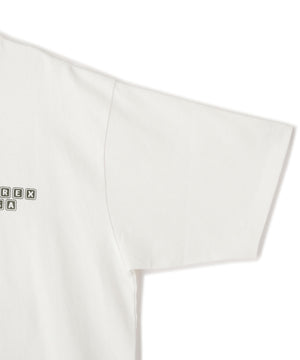 51562395-7073-57ca-a111-825767d15a8c_Image