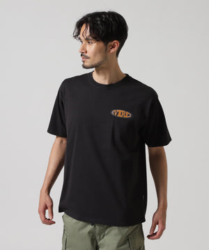 e737b1ae-7066-561f-bd62-9bfbad493f5e_Image