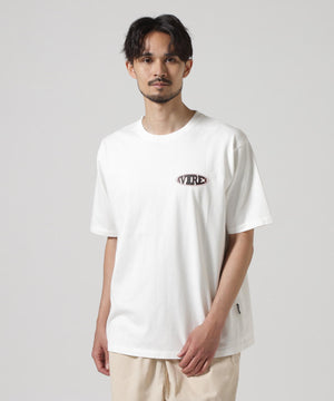 72c8d946-cf5b-58ec-90b8-6020da0abdd9_Image