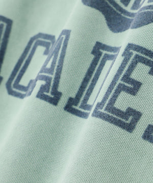 ae488e9b-853f-59e6-85d8-caeed72c8158_Image