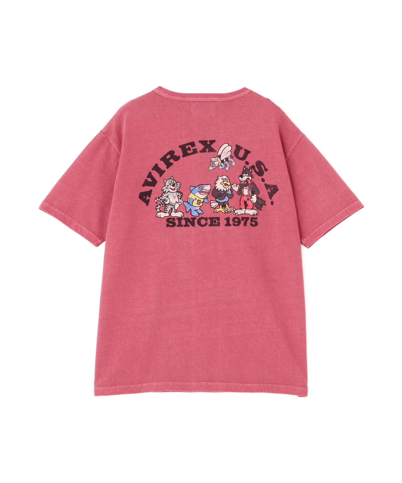 8092542d-d92f-5f4c-b8c1-c2eddf4e117a_Image