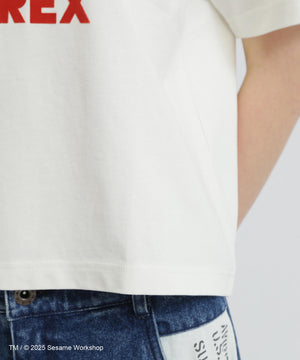 26272733-e90a-5515-8918-ddb55844d751_Image