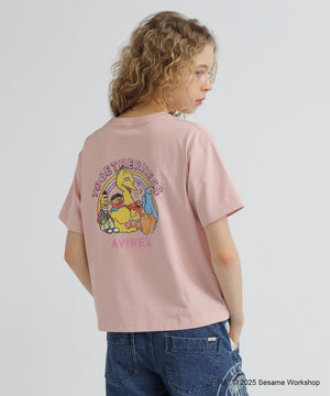 2dccdea3-eedb-5c44-926d-c6646eab57f1_Image