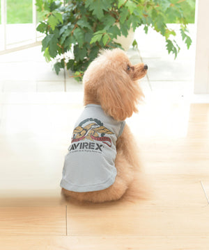 40956413-3d51-592d-b7f8-8f05ea31af7f_Image