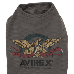 e404cc16-98f4-5a20-8728-1a5b96b19e77_Image