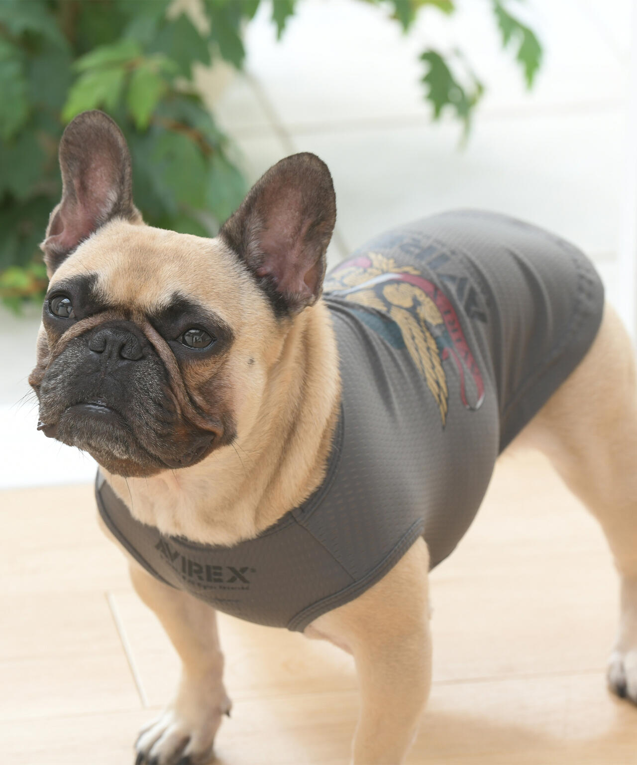 e3576675-b52a-522e-8913-2d5ce98716f5_Image