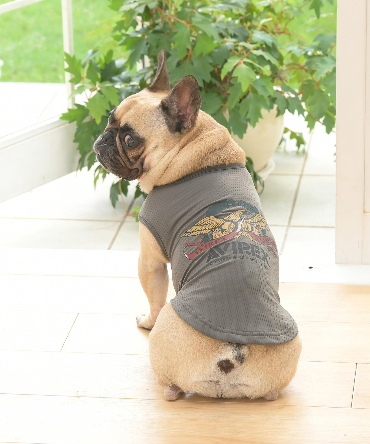 98bdb632-4175-5757-9828-8150d20090cd_Image