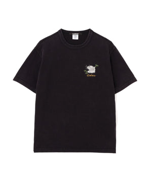 d9f4ac72-1264-563e-ade7-77b55d6bacc6_Image