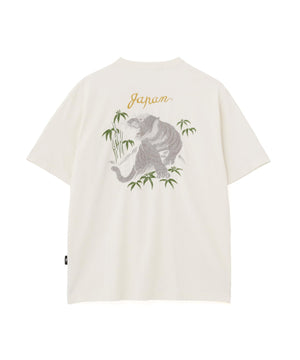 3aa35e57-b6c2-59ca-ba8e-bfc99c08e7e3_Image