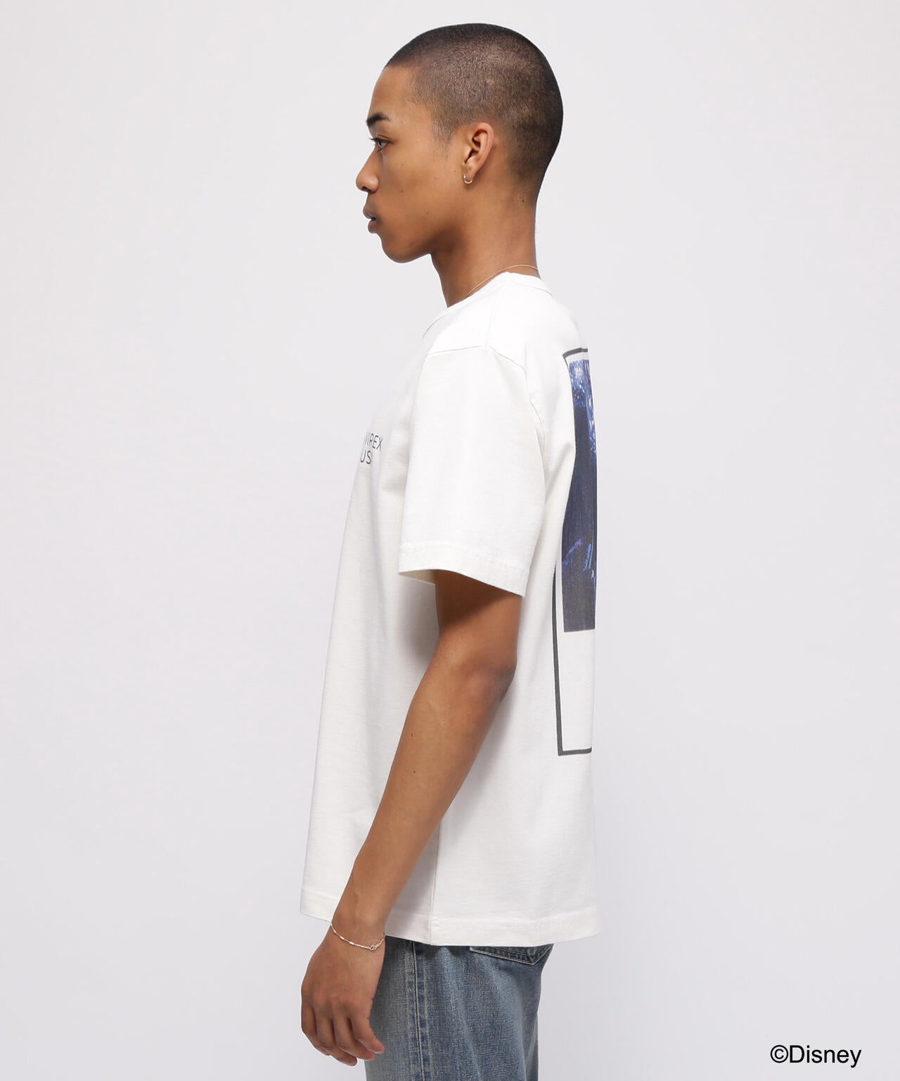 b6e4f4a4-5058-5c24-a635-192e817a6b75_Image