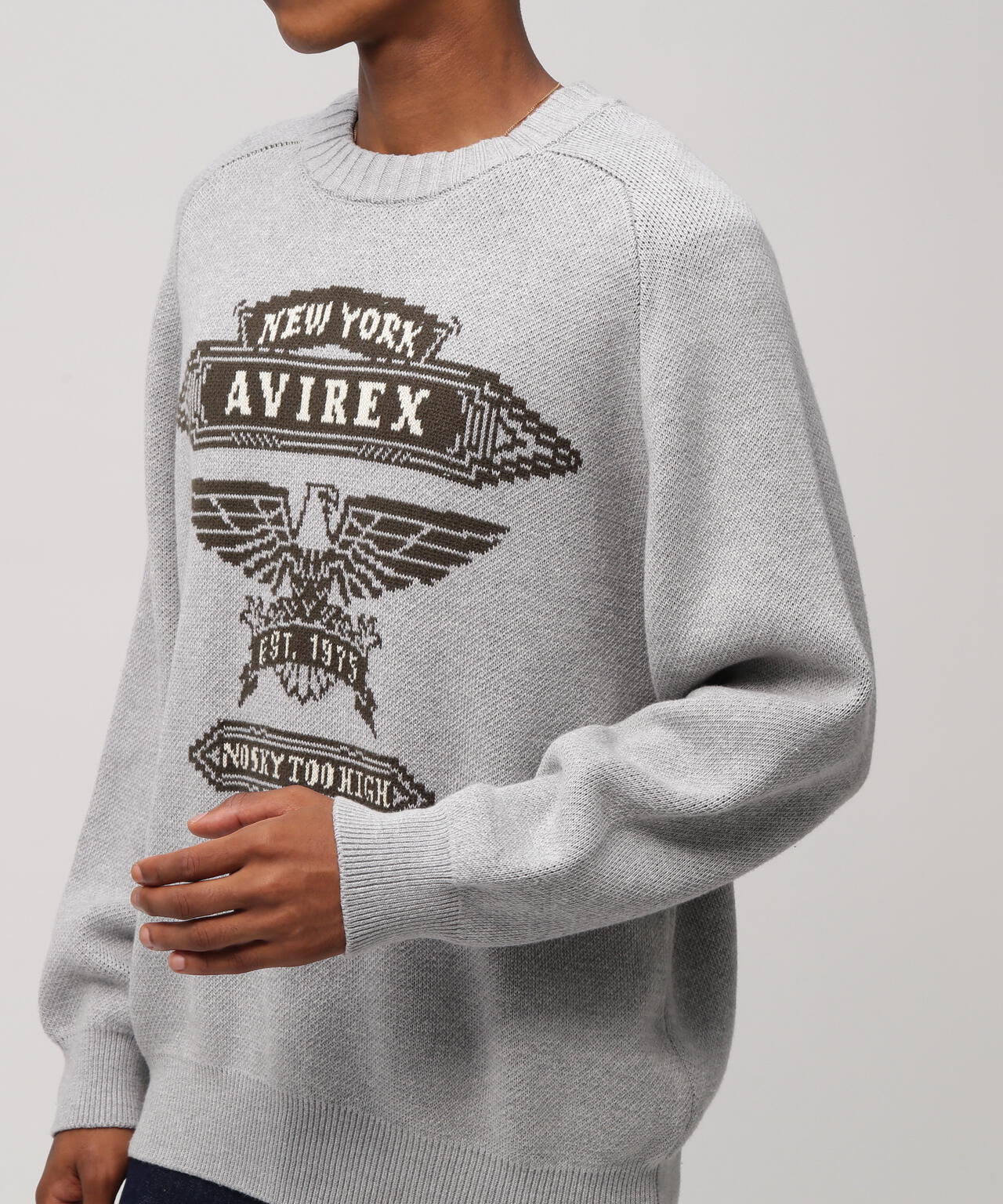 FREEDOM SLEEVE COTTON KNIT EAGLES