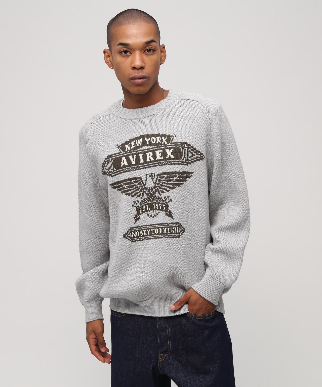 FREEDOM SLEEVE COTTON KNIT EAGLES | AVIREX（アヴィレックス