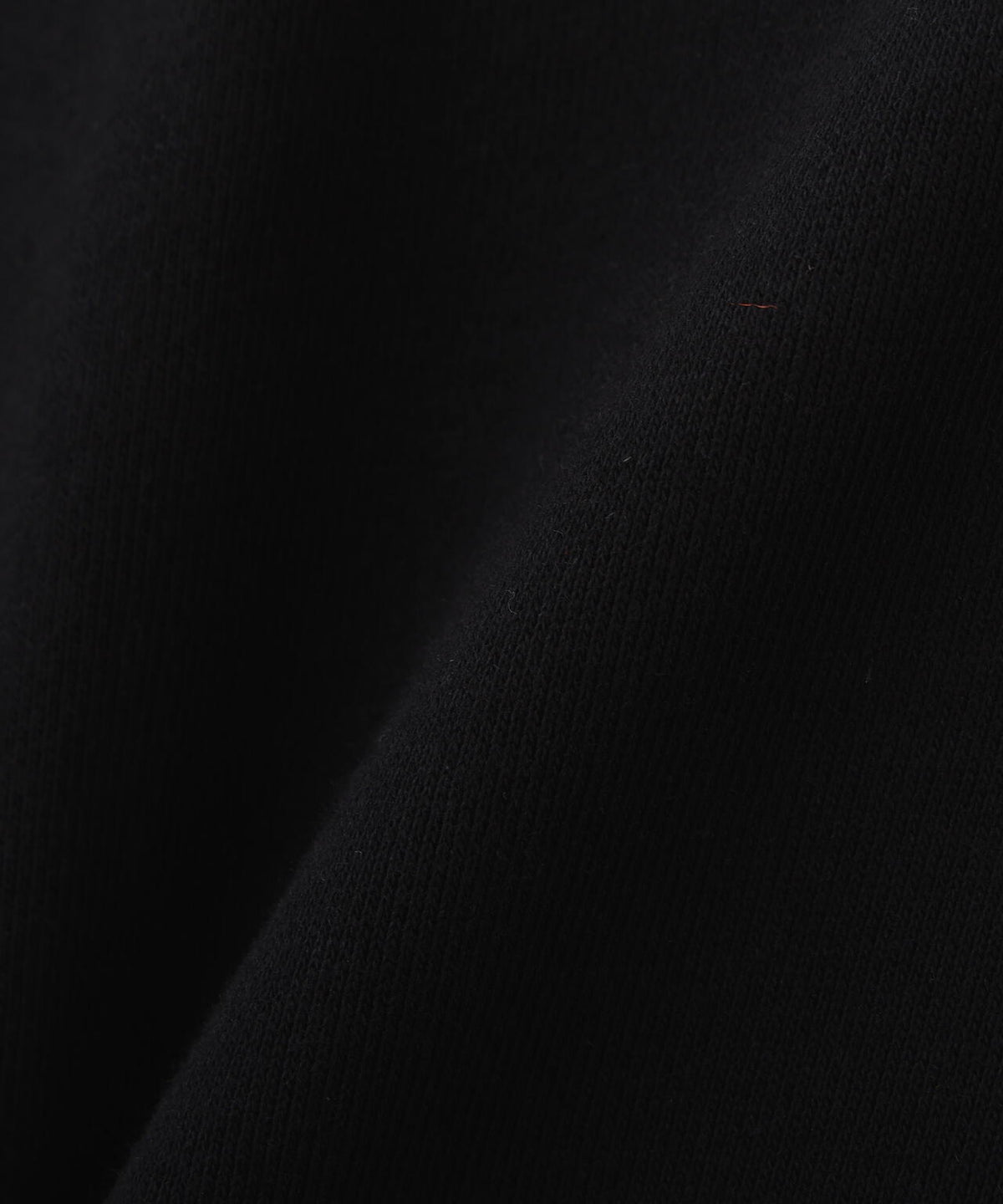 《WEB&DEPOT限定》CAMOUFLAGE LOGO CREW SWEAT