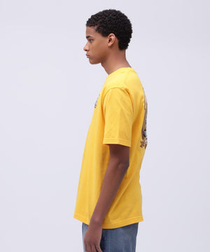 27677793-6793-548c-a4a1-0f136a8dad10_Image