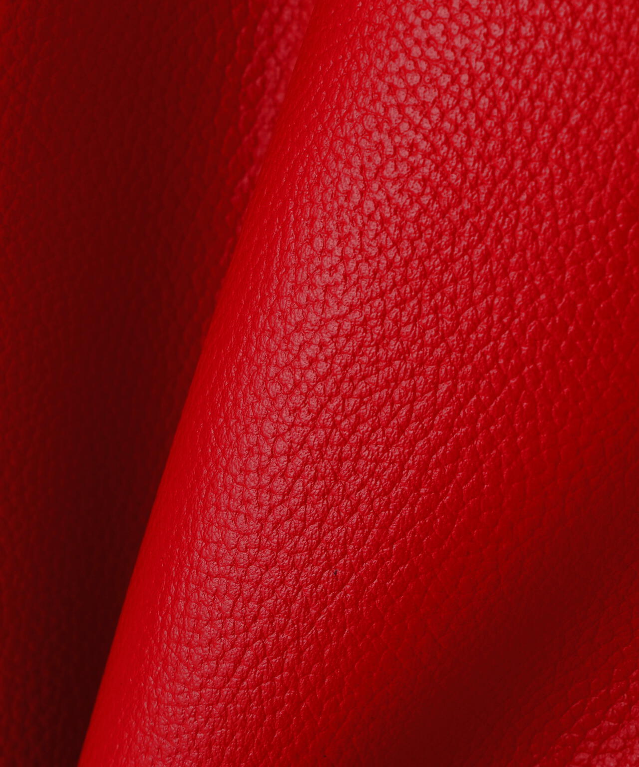 c1992c83-eb18-5449-ab3a-e4c148c3afb1_Image