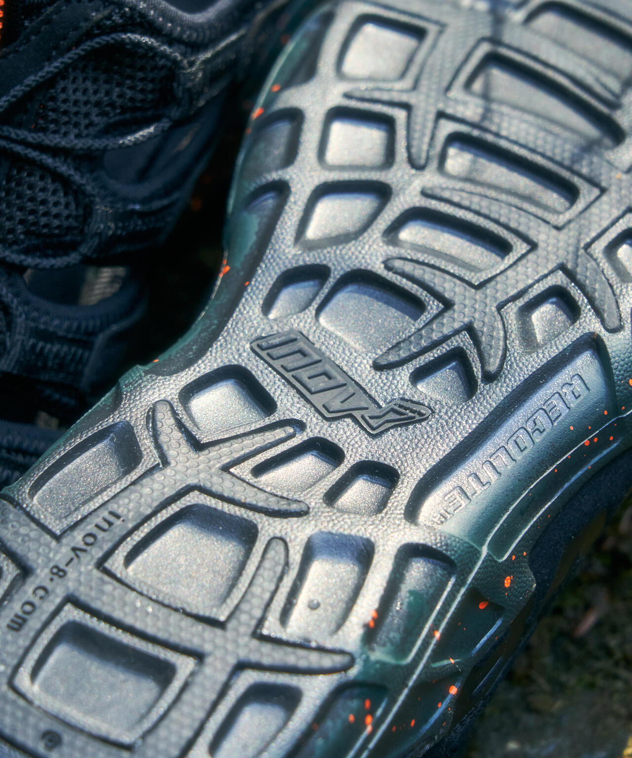 AVIREX × INOV8》SANDAL / レコライト 190 UNI | AVIREX