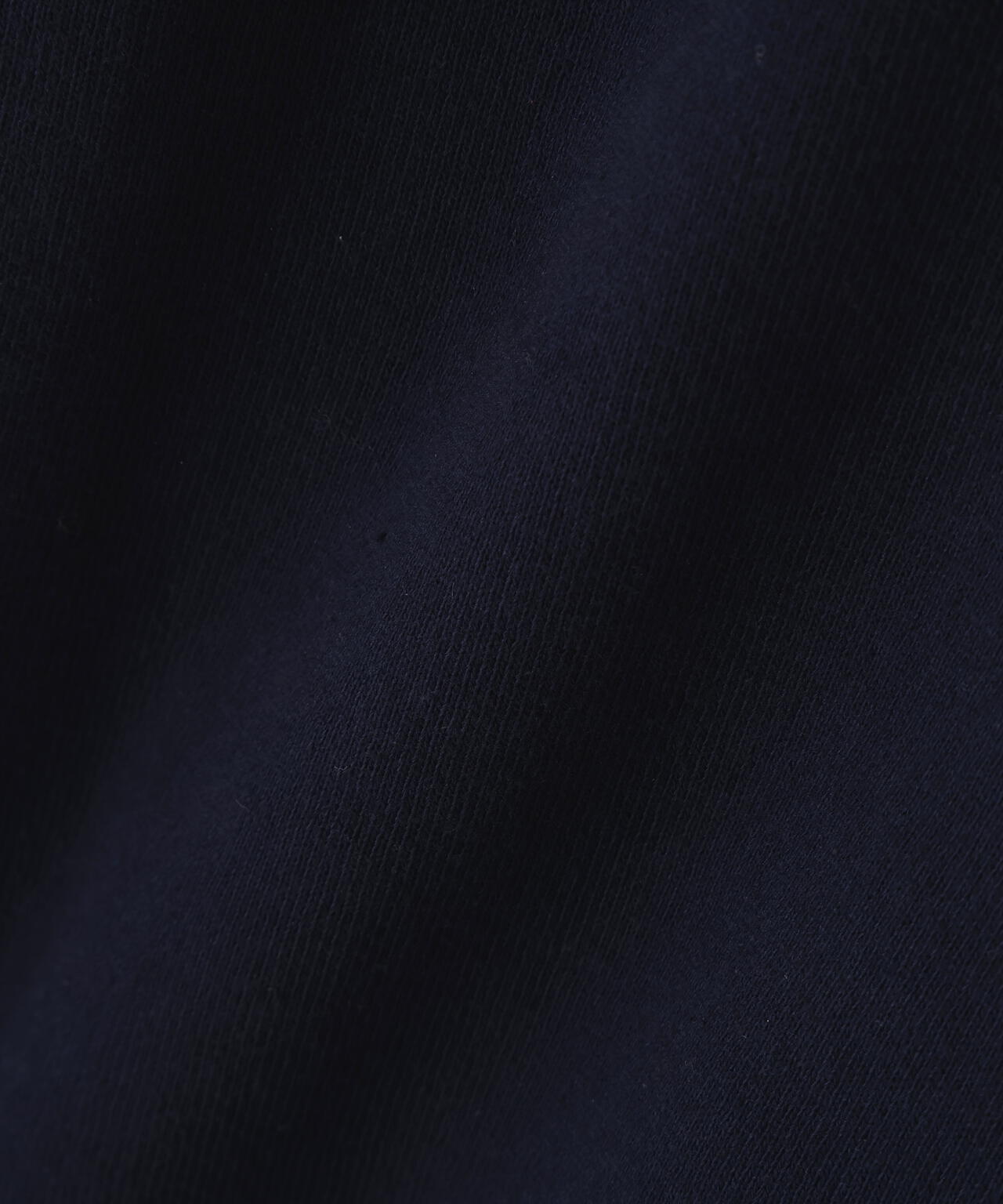 《A.A.R.C》CHENILLE EMB. CLASSIC ZIP HOODIE