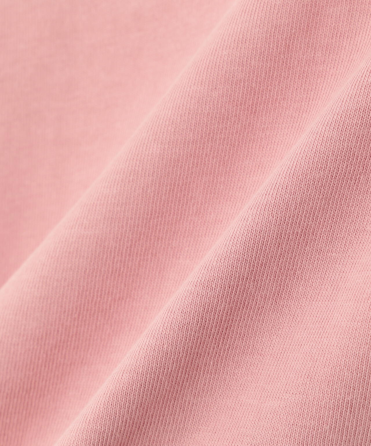 《WEB&DEPOT限定》VERTICAL LOGO SHORT PANTS / 縦ロゴ ショーツ AVIREX/