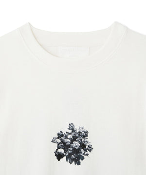 958e0710-7965-52c1-95b0-38e71c49d955_Image