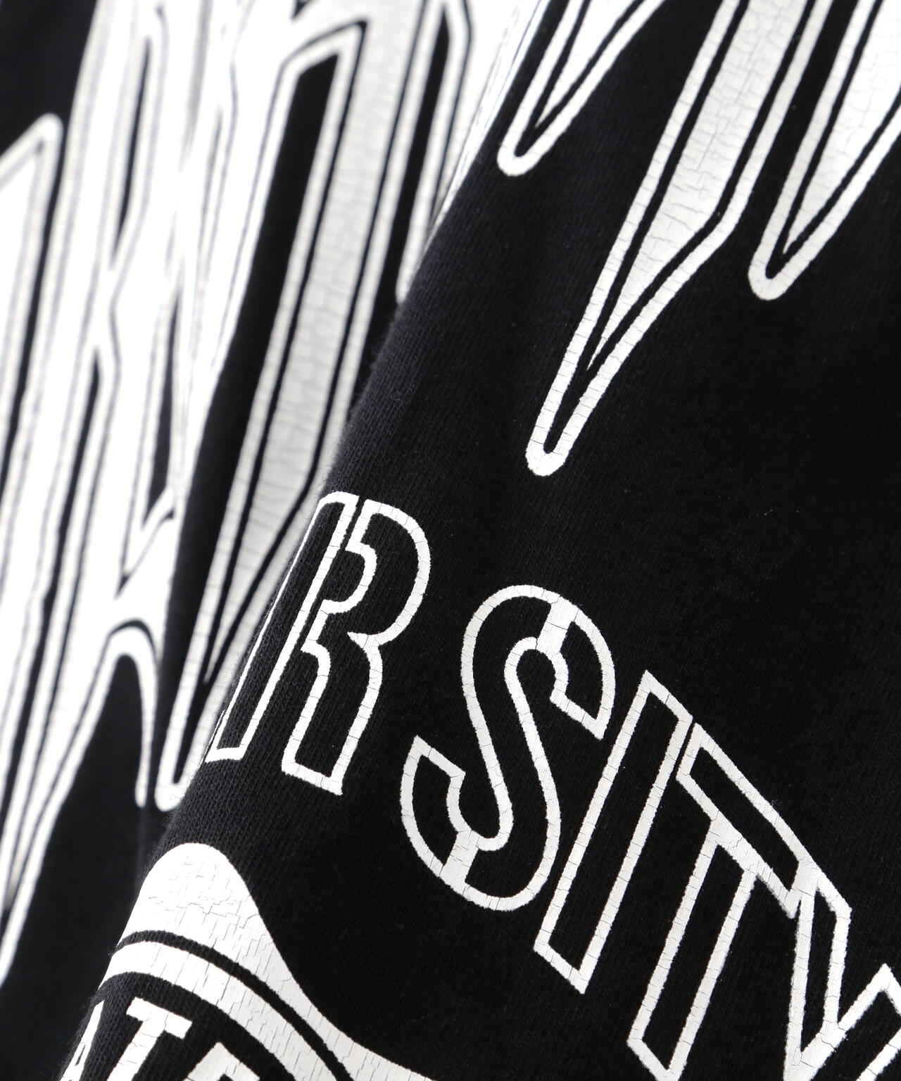 WEB&DEPOT限定】DankeSchon/SUBHUMAN LST/ロゴロングスリーブT