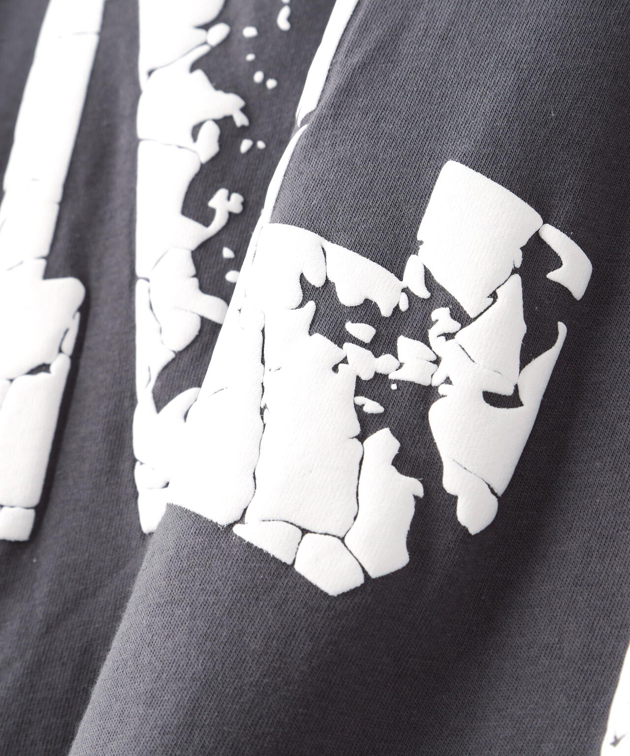 WEB&DEPOT限定】DankeSchon/ダンケシェーン/ARCV LOGO LST/ロンT
