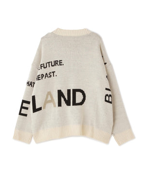 8b8d7eb1-c608-51d5-8bc0-a4fb1e714e79_Image