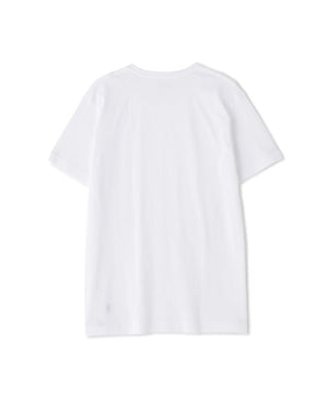 9088ee1f-4a1c-5231-8c48-7891c3ef878c_Image