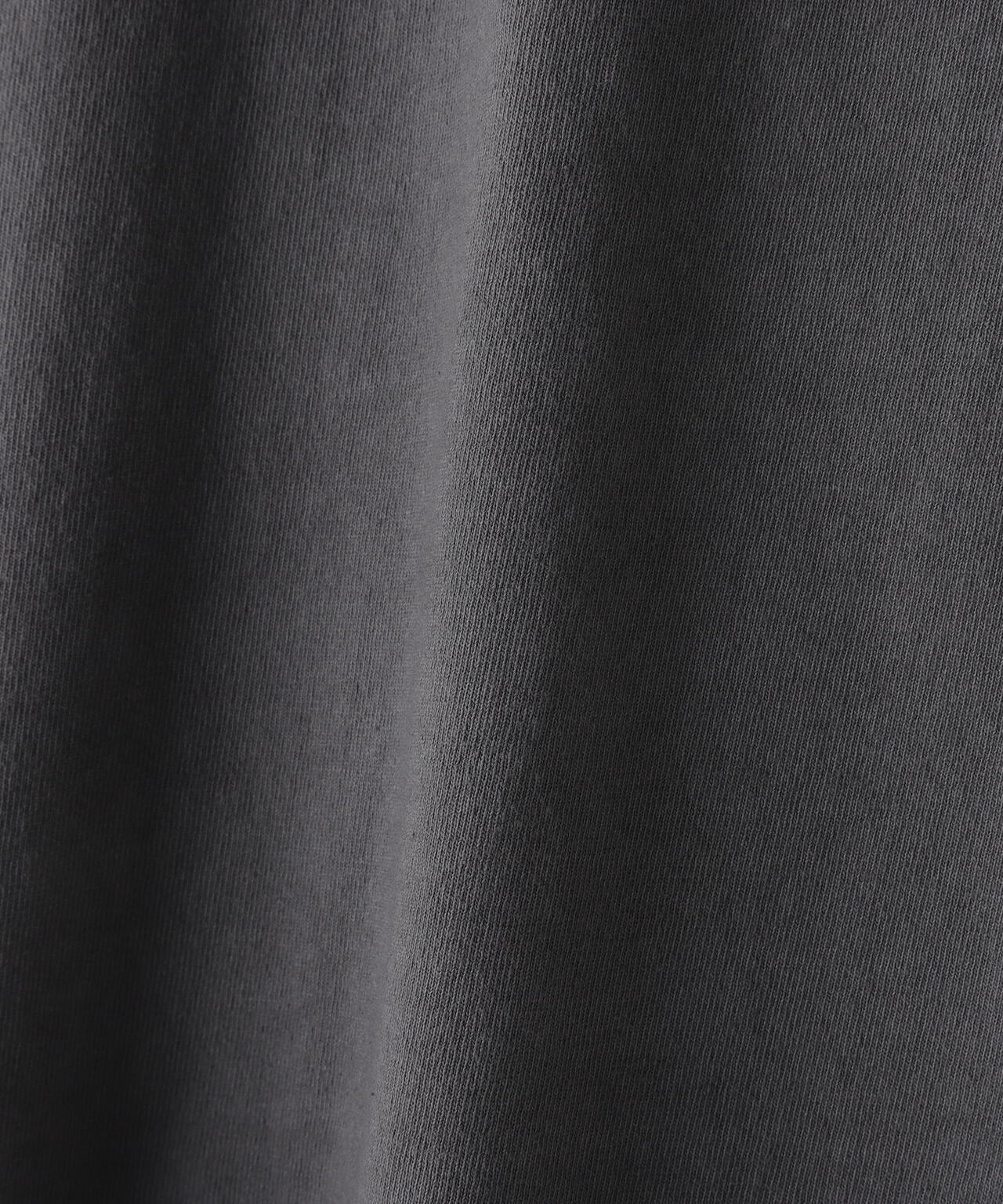 WEB&DEPOT限定/DankeSchon/活性染タイガー S/S Tee