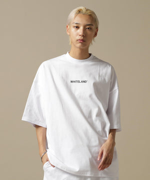 c213e342-f3fa-5249-bb5f-6a254db1d66b_Image