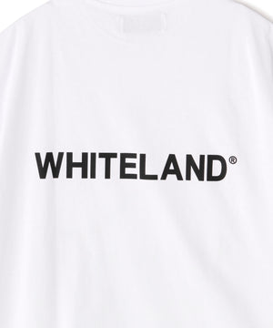 ffe555ac-1c43-53ea-bd5f-bcf512830d3e_Image